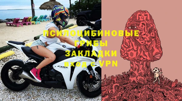 молекула духа Каменск-Шахтинский